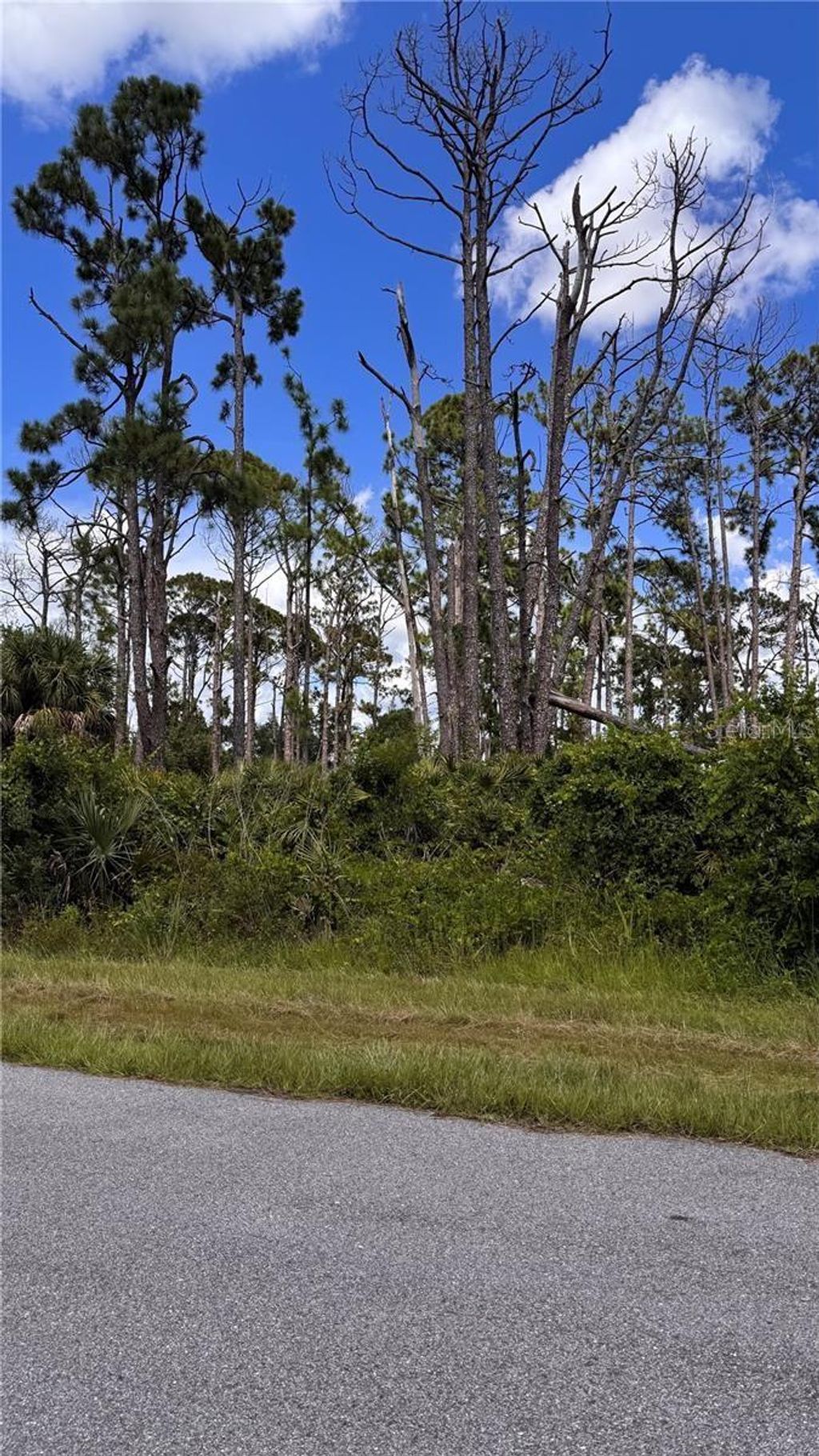 Photo of 72 Pompano Street, Port Charlotte, FL 33953 (MLS # C7515890)