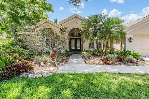 4320 AUSTON WAY PALM HARBOR FL 34685