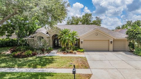 4320 AUSTON WAY PALM HARBOR FL 34685