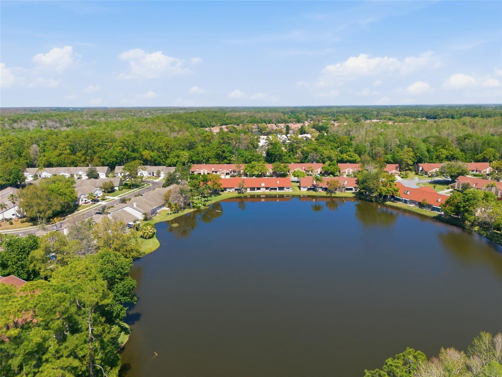 BROOKHAVEN - Residential