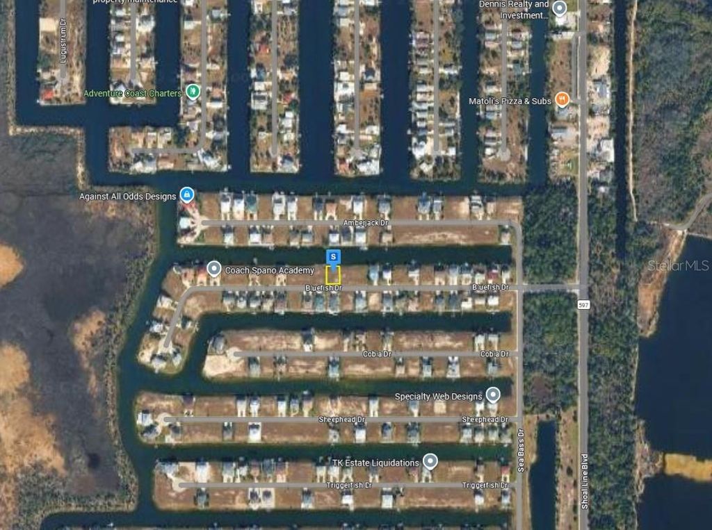 Photo of 3487 Bluefish Drive, Hernando Beach, FL 34607 (MLS # A4684830)