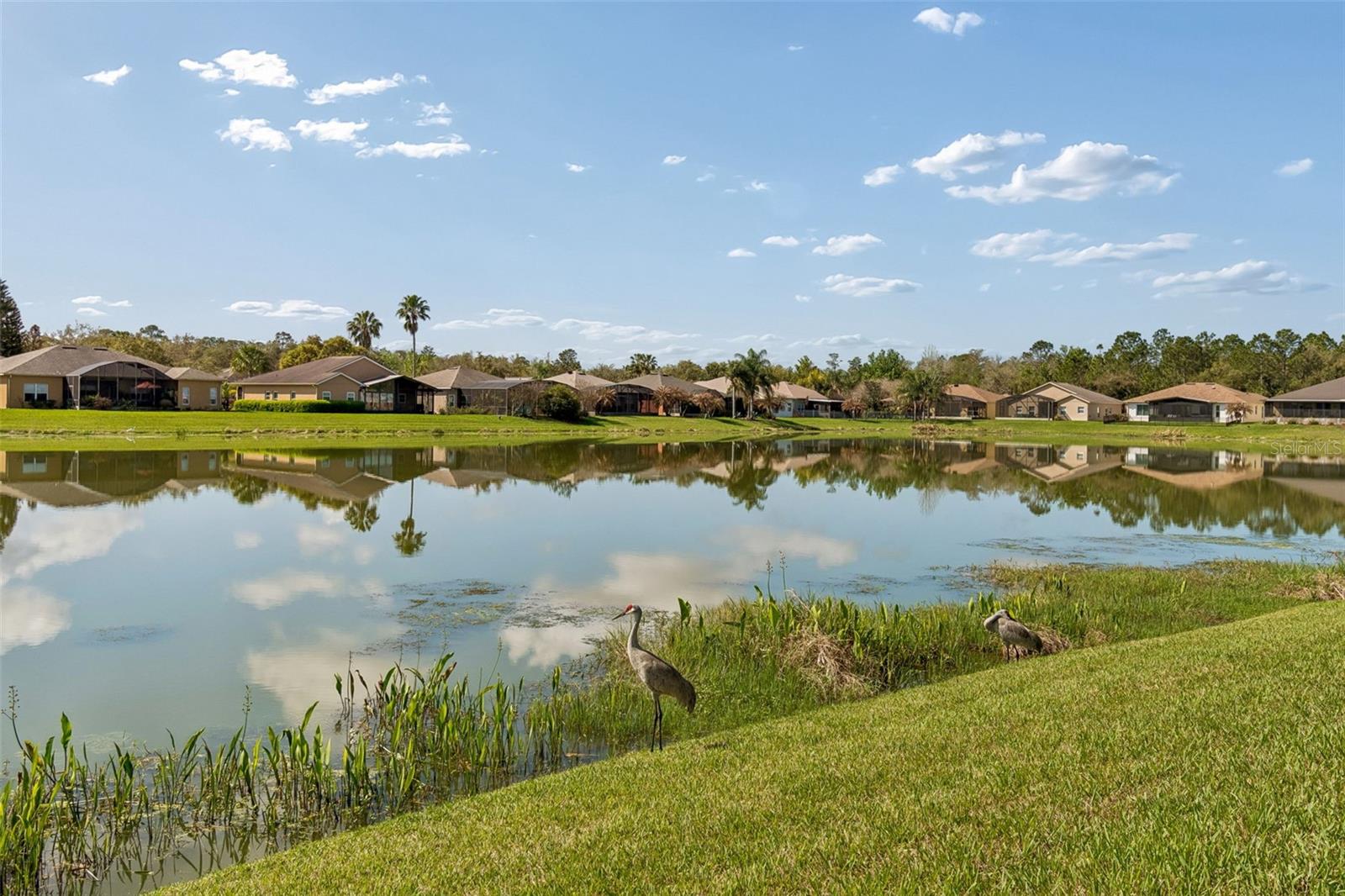 SOLIVITA PH 02D - Residential