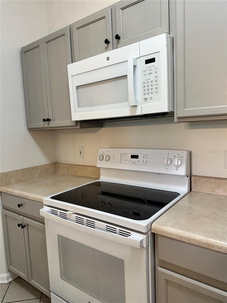 13584 TURTLE MARSH LOOP 132