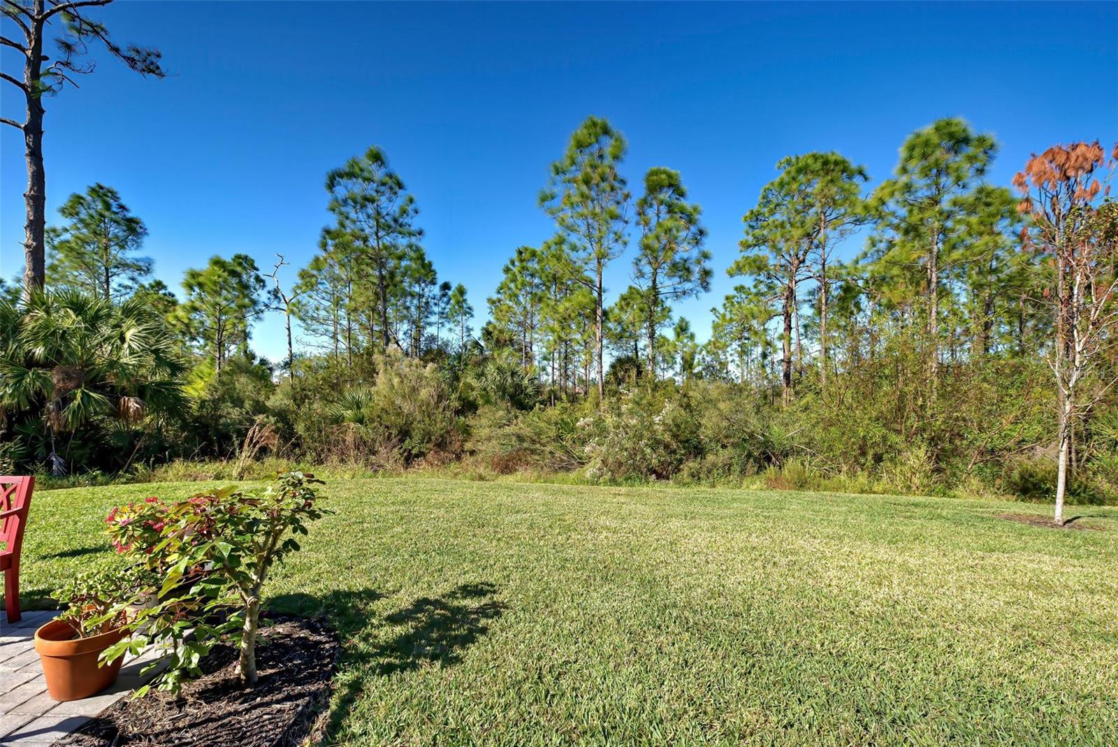 451 DAYLILY BOULEVARD