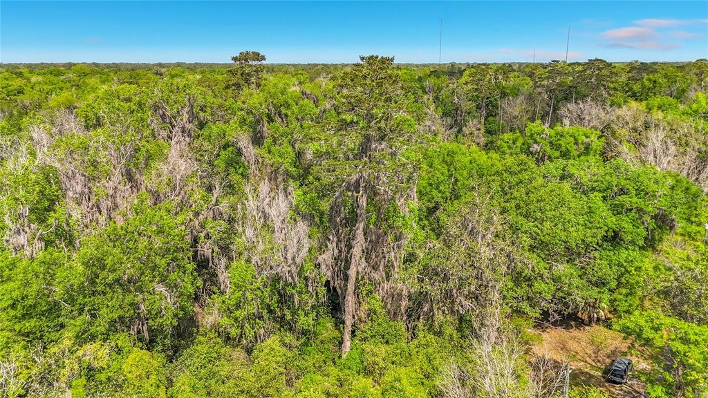 Photo of 2 NW 37th Drive, Gainesville, FL 32606 (MLS # TB8493135)