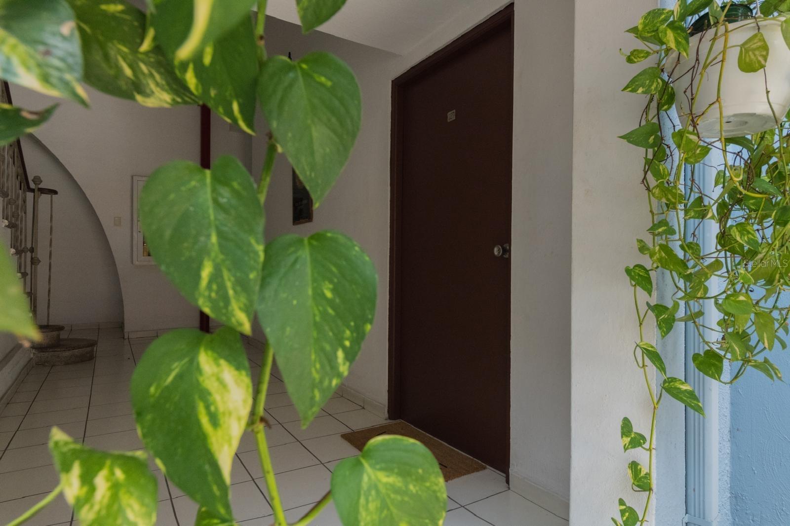 ESTANCIAS DE ARAGÓN - Residential