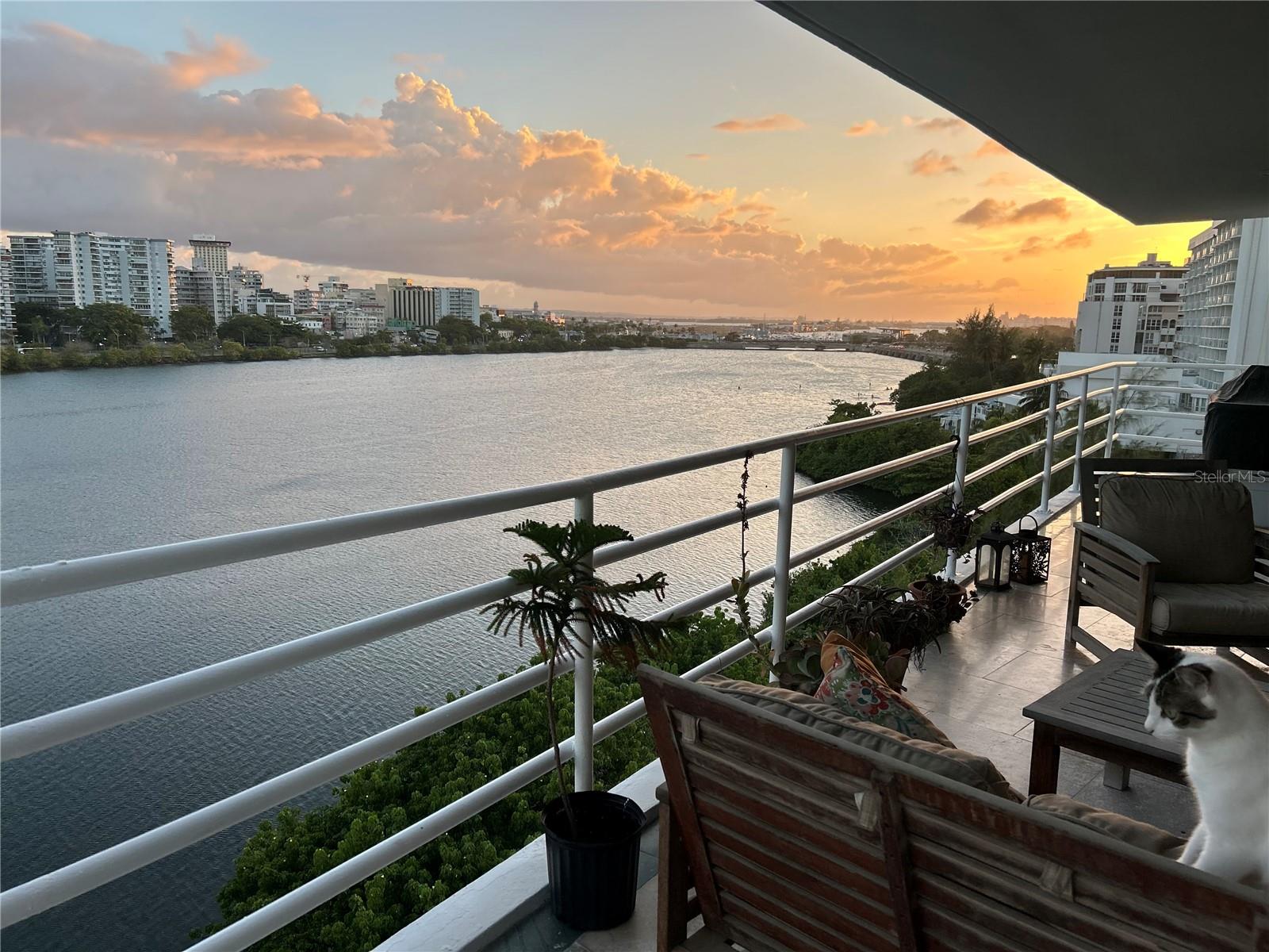 ?? Stunning Ocean & Lagoon Views at 888 Cond Ashford Lagoon Plaza
Experience luxury living with breathtaking panoramic views in this exclusive 7th-floor apartment located at 888 Cond Ashford Lagoon Plaza. Situated on Ashford Avenue in Condado district, this one-of-a-kind residence offers unparalleled comfort and sophistication.
Key Features:
• Exclusive Design: One apartment per floor, ensuring ultimate privacy and tranquility. Enjoy the luxury of two elevators for convenient access.
• Spectacular Views: Panoramic ocean and lagoon views from every room, with a large terrace overlooking the serene Condado Lagoon – the perfect spot for relaxation and entertaining.
• Spacious Living: Approximately 3,000 sqft of meticulously designed living space featuring 3 bedrooms, 3 full bathrooms, and an additional maid's room for added convenience.
• Family Room: A spacious family room (that could be converted into a 4th bedroom) provides a perfect retreat for quality time with loved ones.
• Generous Parking: 3 covered parking spaces and storage ensure ample room for your vehicles.
• Exclusive Amenities: The condominium includes a full generator and water cistern, ensuring comfort and reliability even during outages. Additionally, enjoy a fitness center and a wood dock with access to the Lagoon for recreational activities.
• Security: The building provides nighttime security for added peace of mind.
• Prime Location: Enjoy direct access to San Juan’s best shopping, dining, and entertainment venues, with the beach just steps away. The location is also conveniently close to top hospitals and schools.
This exceptional apartment offers both luxury and convenience in one of San Juan’s most desirable locations. Schedule your private showing today and discover the lifestyle you deserve!