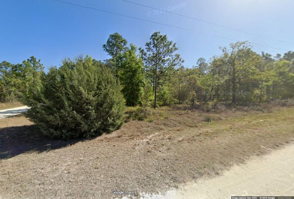Photo of 15480 Cliff Swallow Road, Brooksville, FL 34614 (MLS # O6402547)
