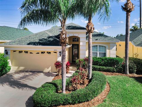 Photo of 10201 Sorenstam Drive, Trinity, FL 34655 (MLS # TB8501261)