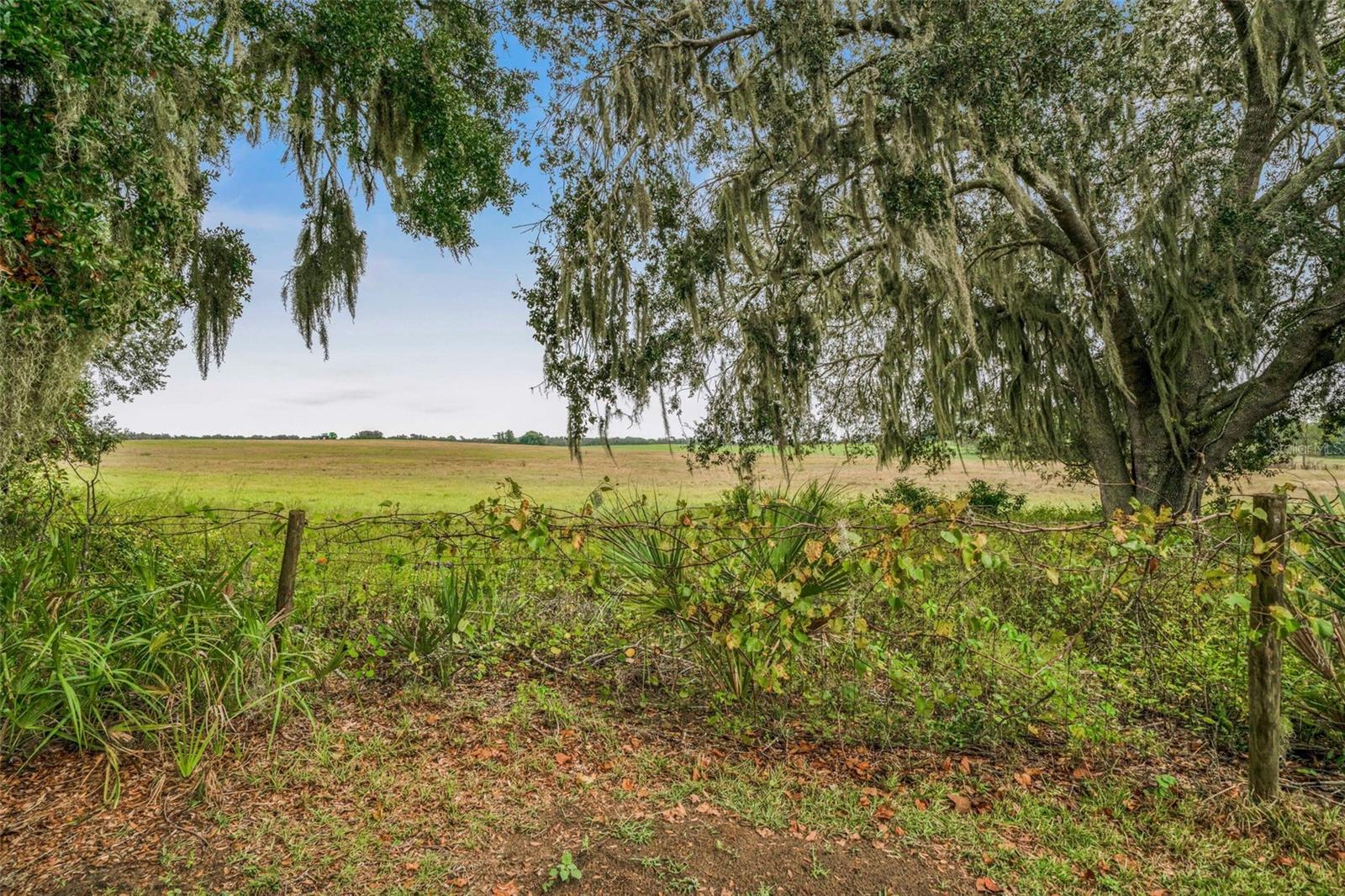 CONNELL LAKE ESTATES - Residential