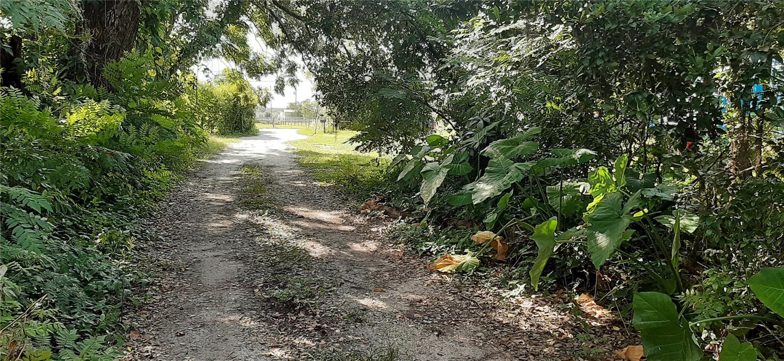 ZEPHYRHILLS COLONY - Residential