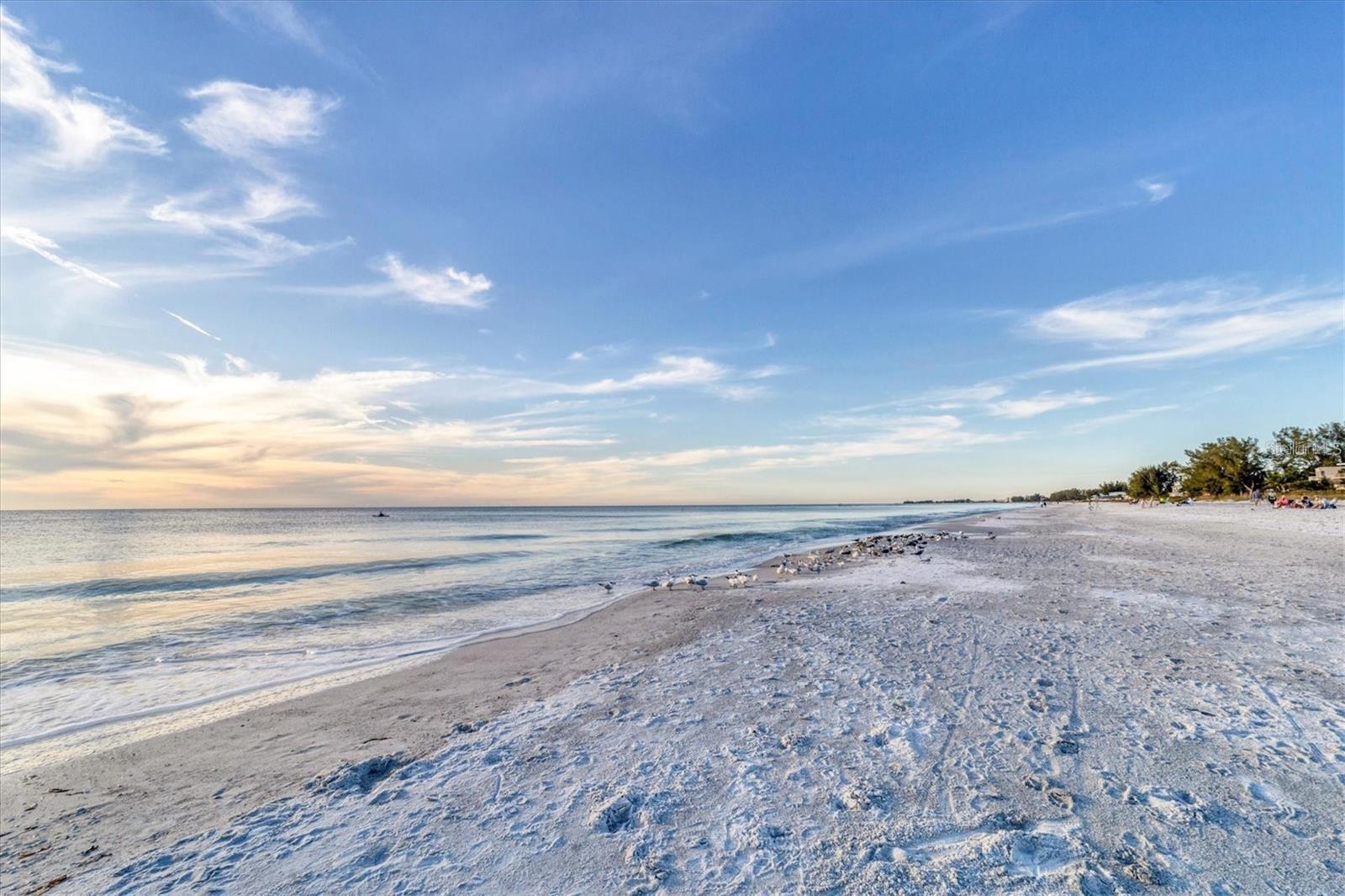 CASANAS - Residential