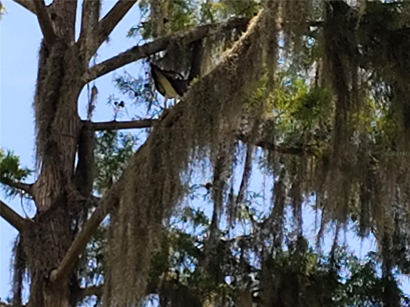 LAKE SHORE PARK - Residential