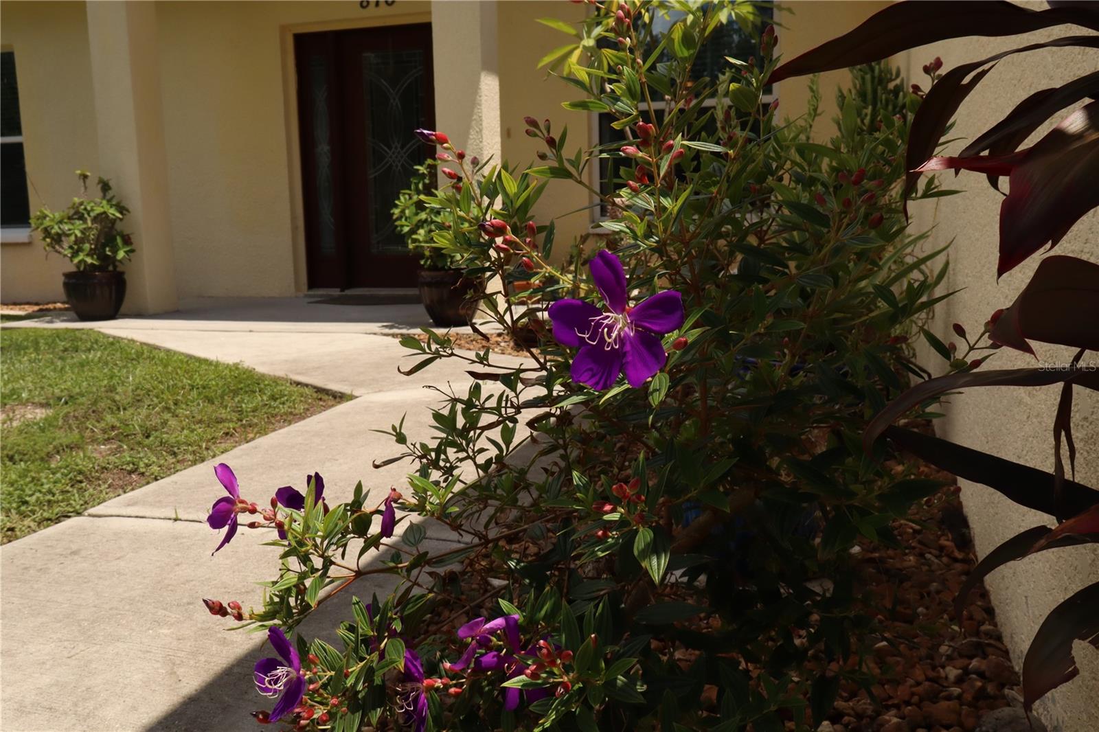 LAKE SHORE PARK - Residential