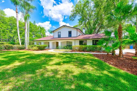 Photo of 4509 Old Orchard Drive, Tampa, FL 33618 (MLS # TB8397097)