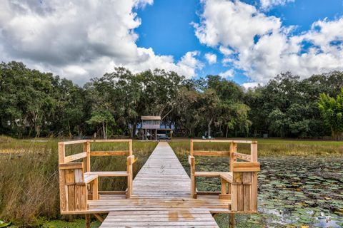 Tiny photo for 16758 SE 181st Terrace, Weirsdale, FL 32195 (MLS # G5106593)