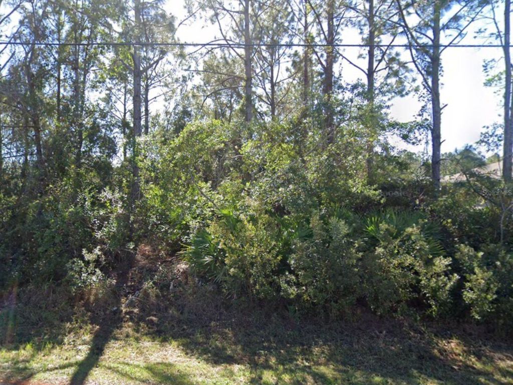 Photo of 106 Lee Drive, Palm Coast, FL 32137 (MLS # FC311860)