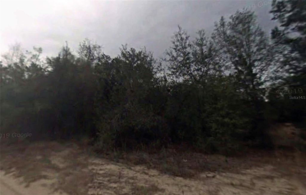 Photo of 702 Longwood Avenue, Inverness, FL 34453 (MLS # O6401387)