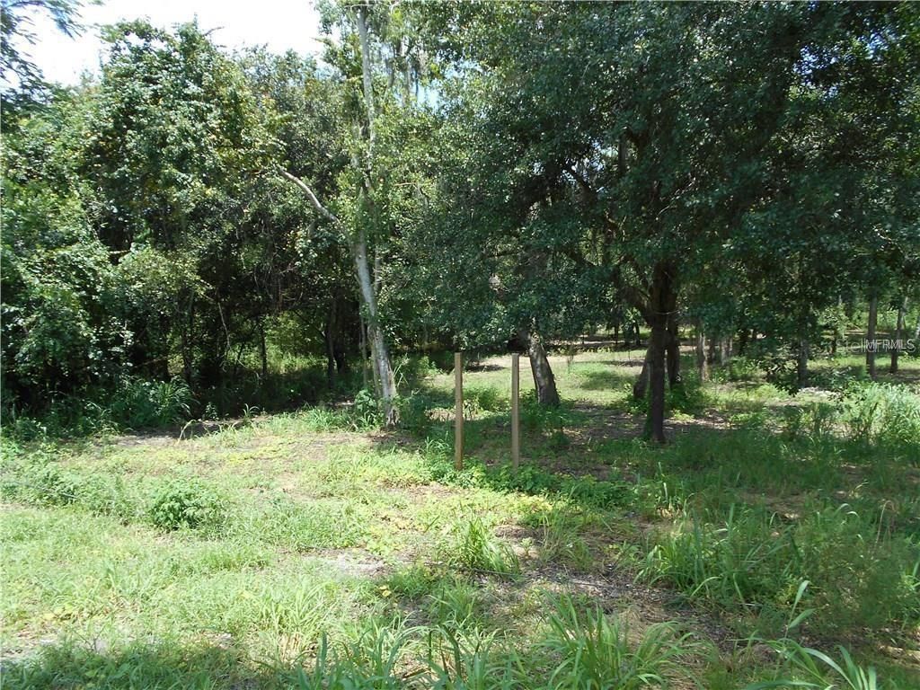 Photo of 0 Dietz, Bartow, FL 33830 (MLS # L4961511)