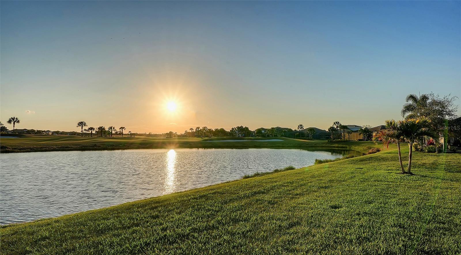 ESPLANADE AT AZARIO - Residential