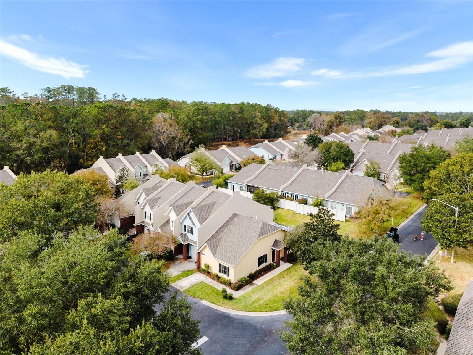 WILLIAMSBURG AT MEADOWBROOK - Residential