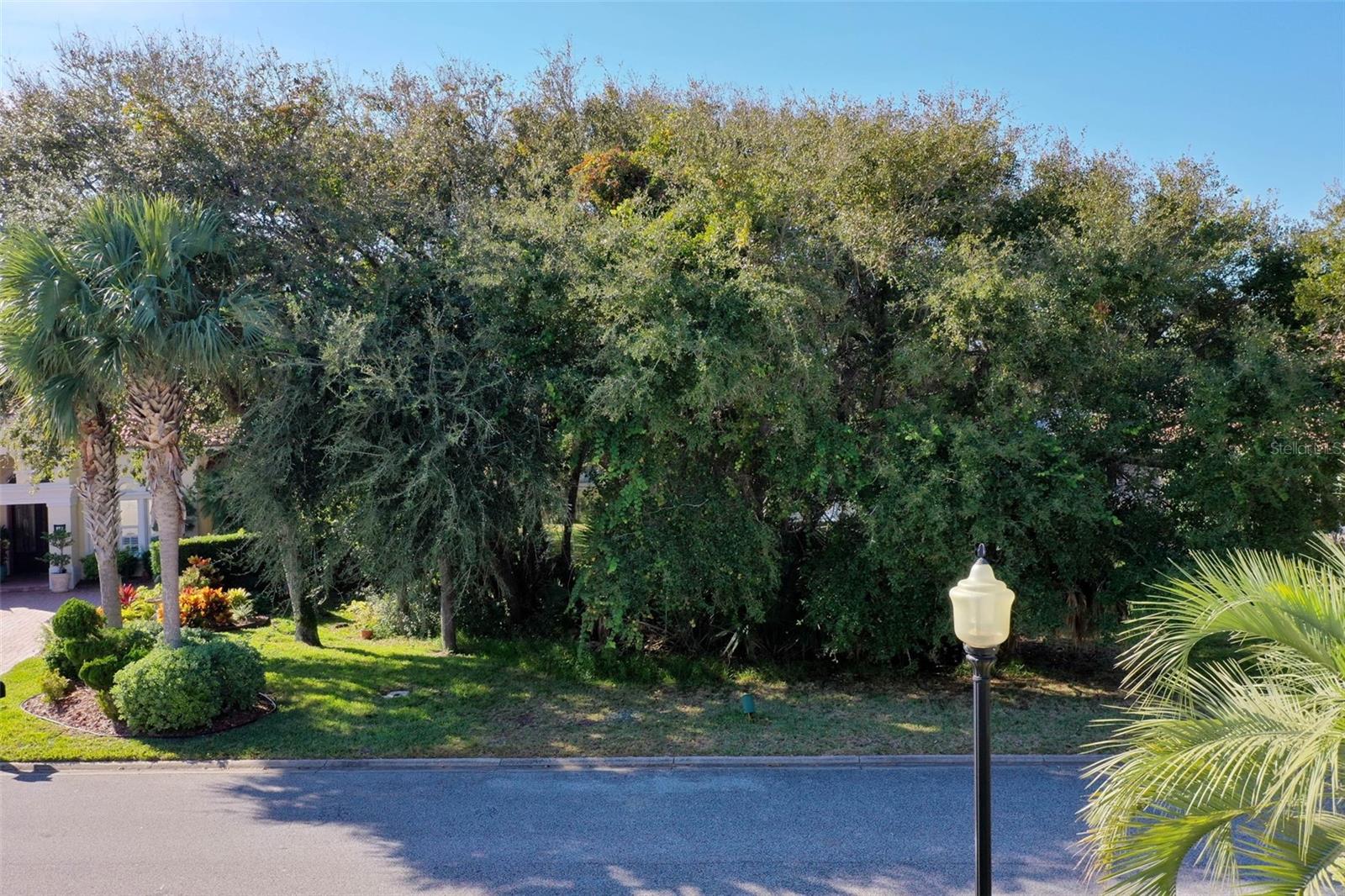 OCEAN HAMMOCK - Land