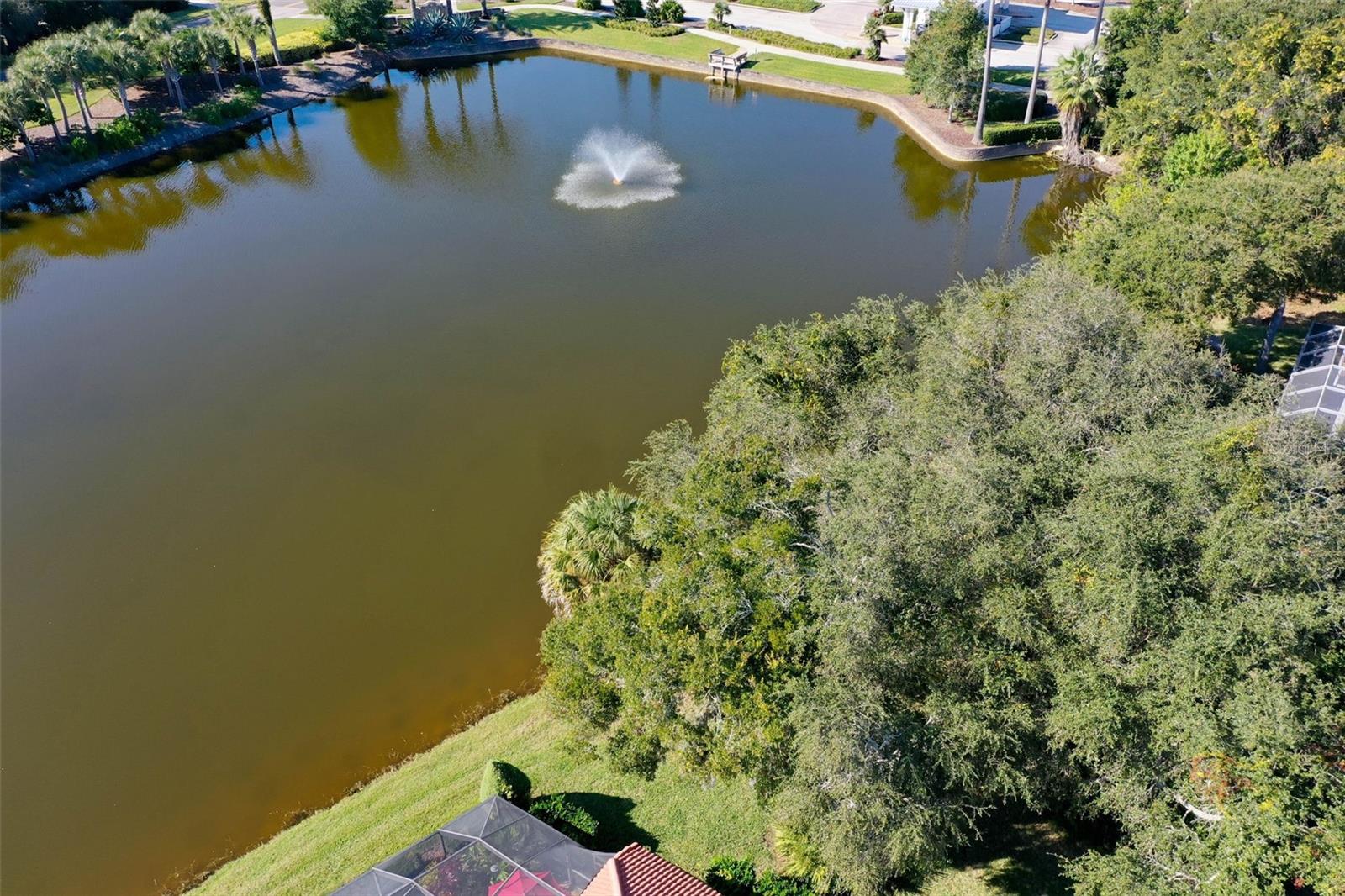 OCEAN HAMMOCK - Land