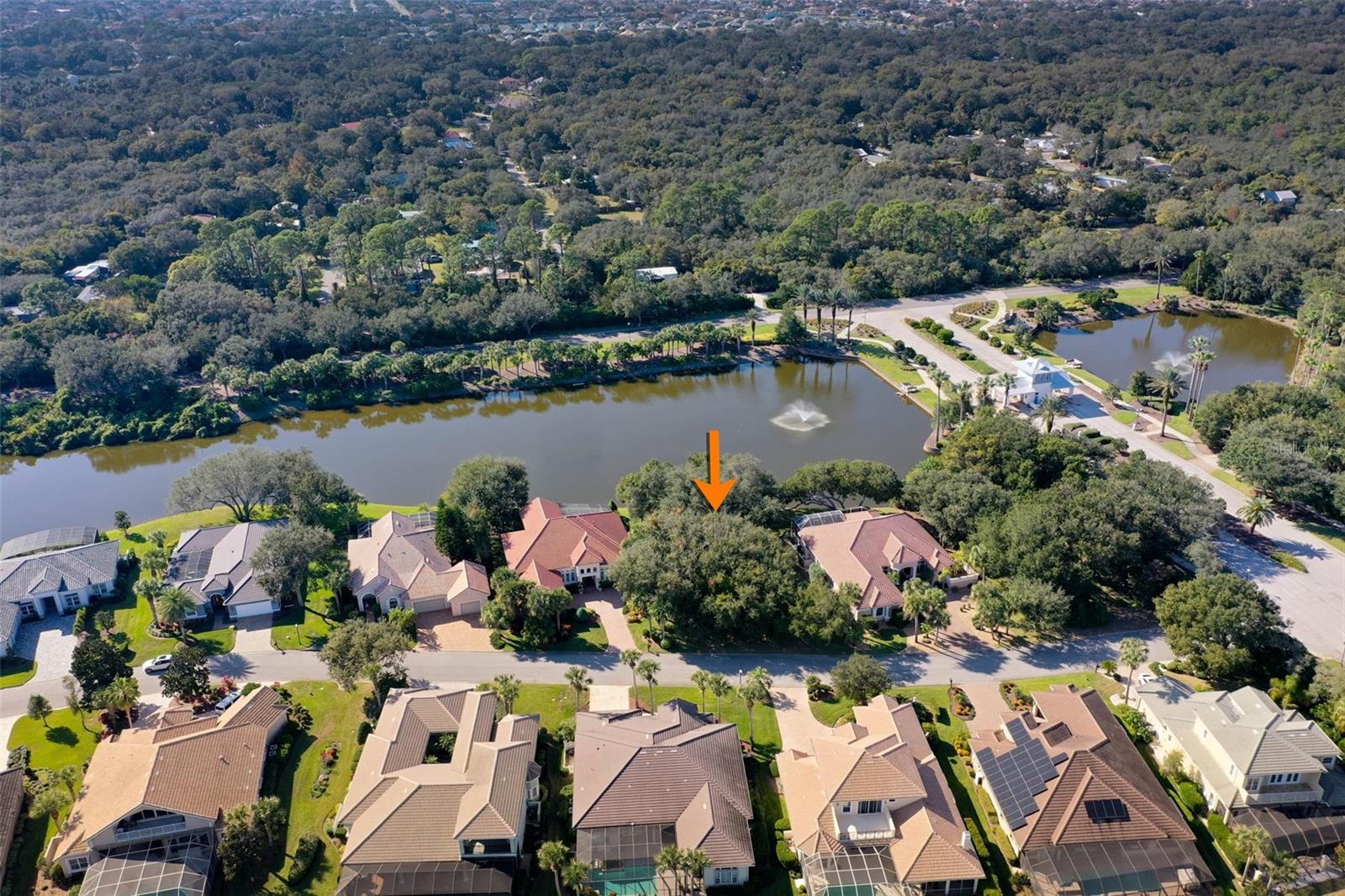 OCEAN HAMMOCK - Land