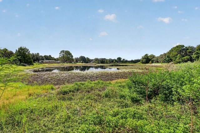 Photo of 37406 Turner Drive, Umatilla, FL 32784 (MLS # G5116971)