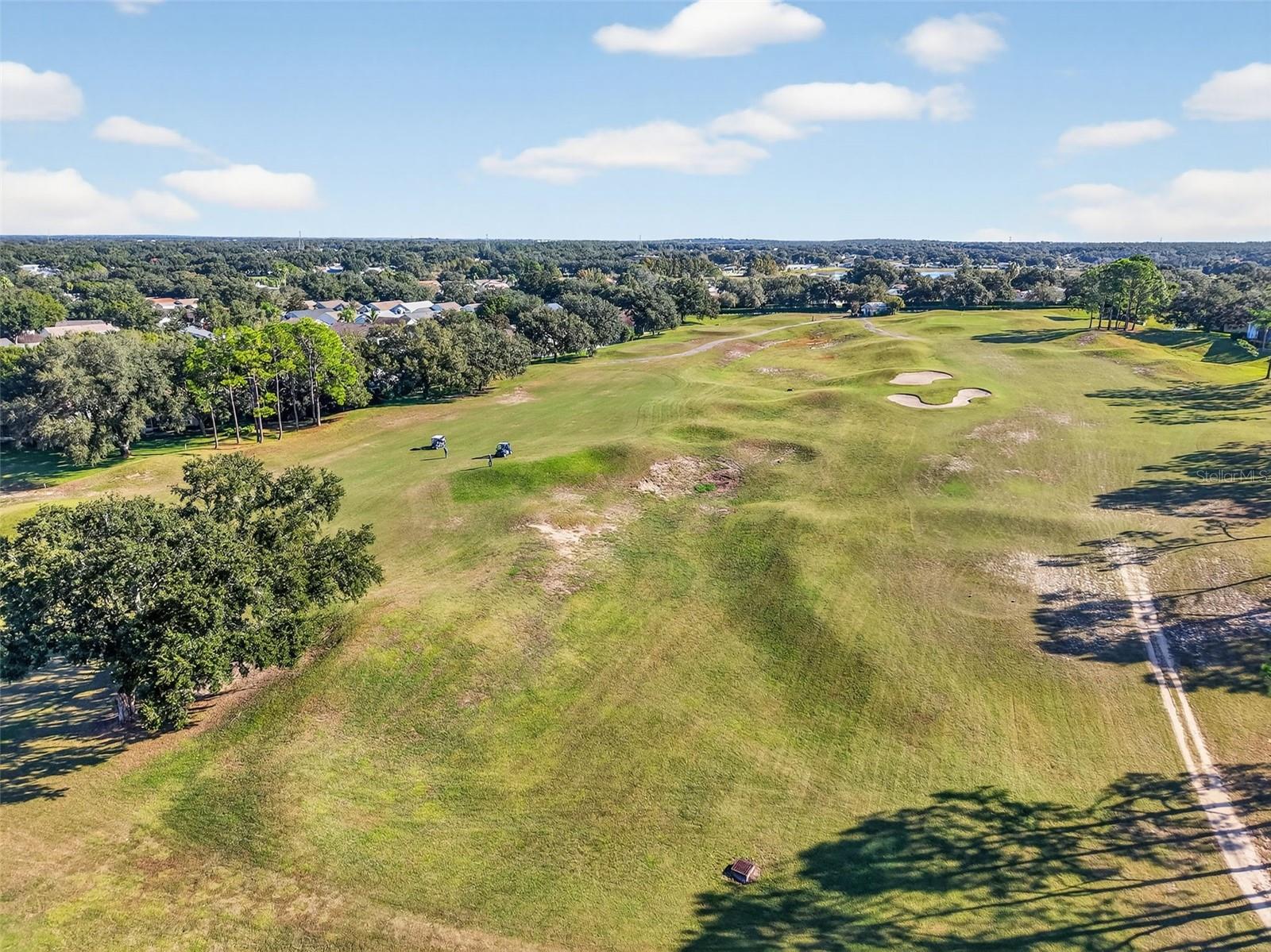 PLANTATION AT LEESBURG NOTTOWAY VILLAGE - Residential