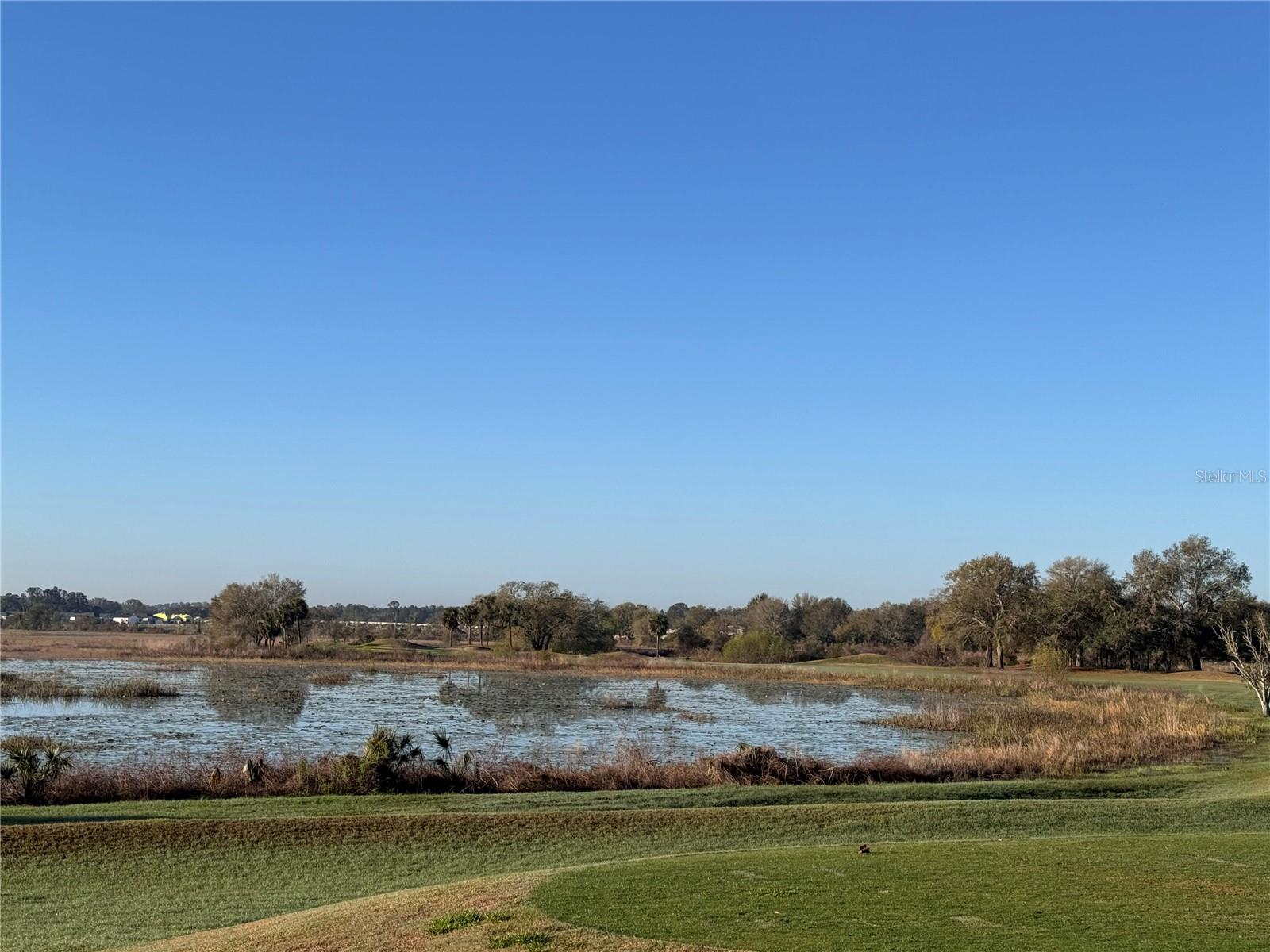 PLANTATION AT LEESBURG NOTTOWAY VILLAGE - Residential