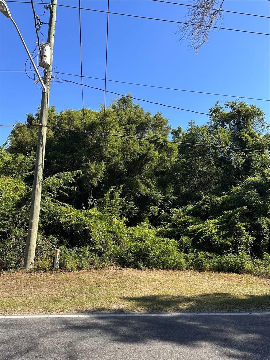 Great lot located close to the new Mary Sue Rich community center and Ocala Recharge park with no flood zone!