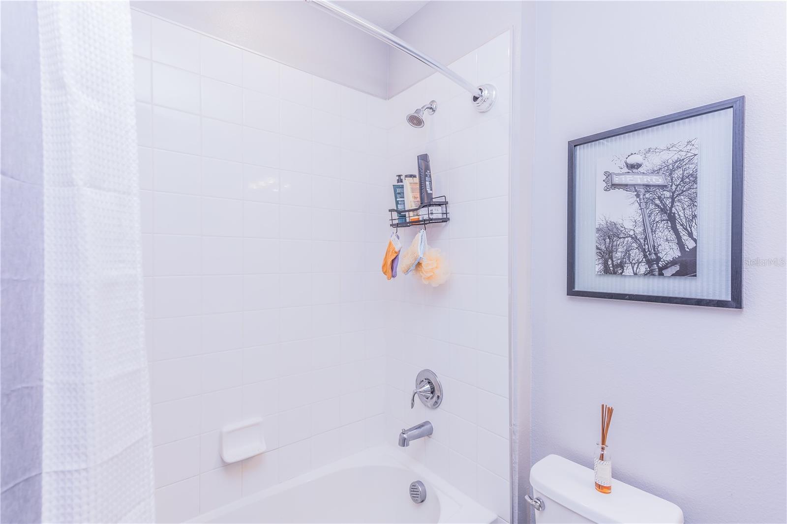 TOWNS AT WHITE CEDAR - Residential