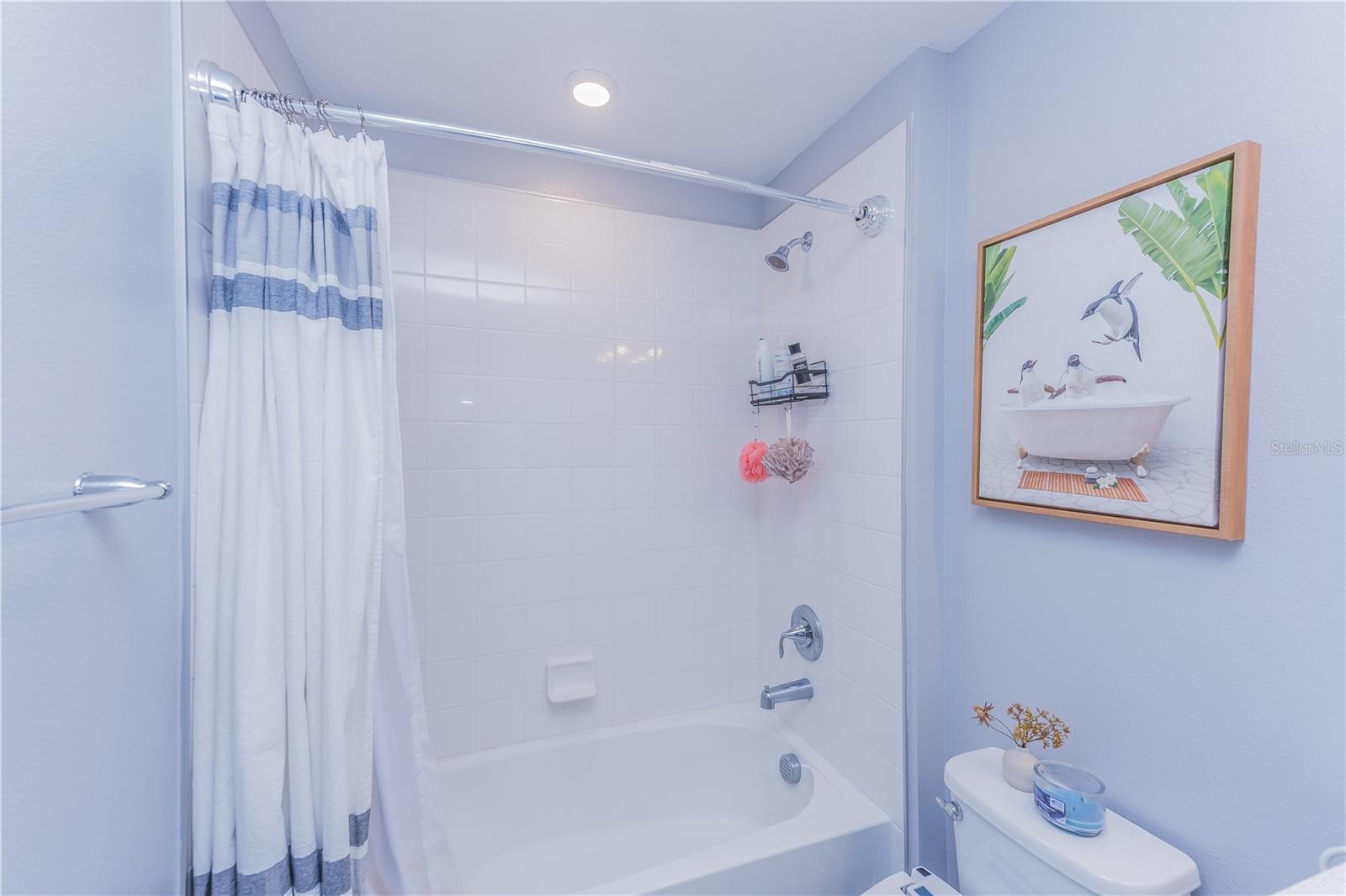 TOWNS AT WHITE CEDAR - Residential