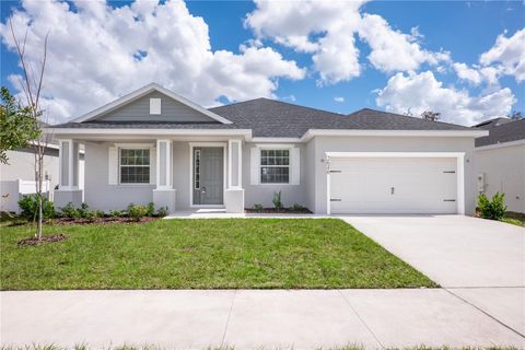 Photo of 2646 Scenic Park Loop, Wimauma, FL 33598 (MLS # L4957277)