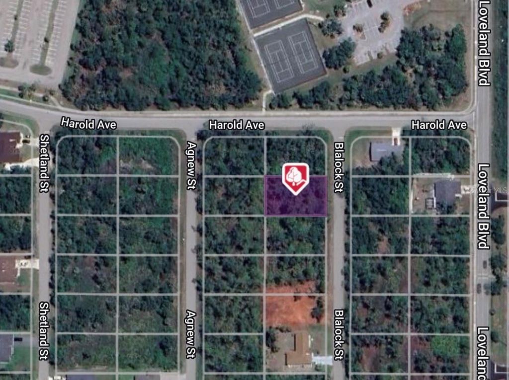 Photo of 1165 Blalock Street, Punta Gorda, FL 33980 (MLS # C7493590)