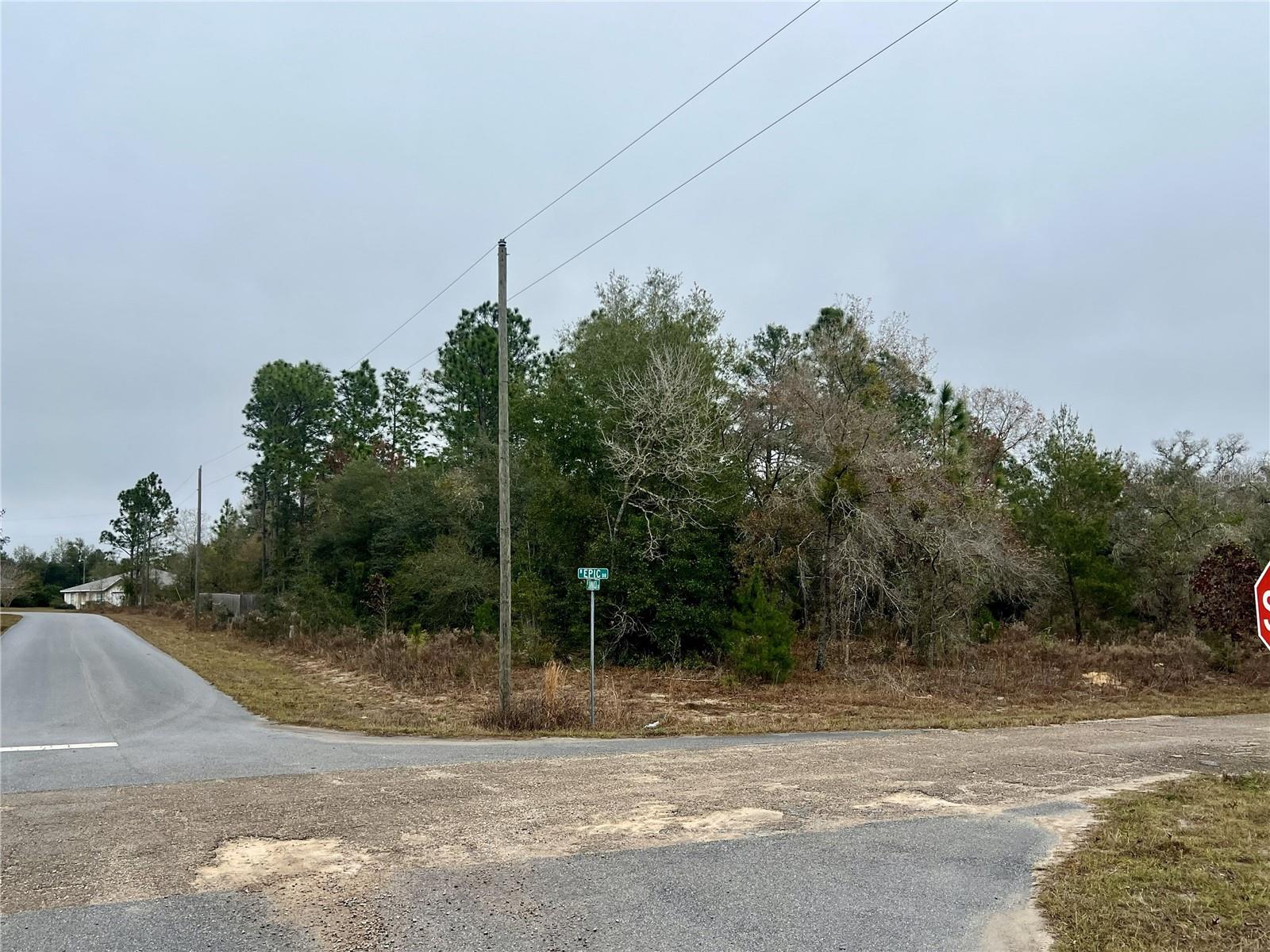 CITRUS SPGS UNIT 11 - Land