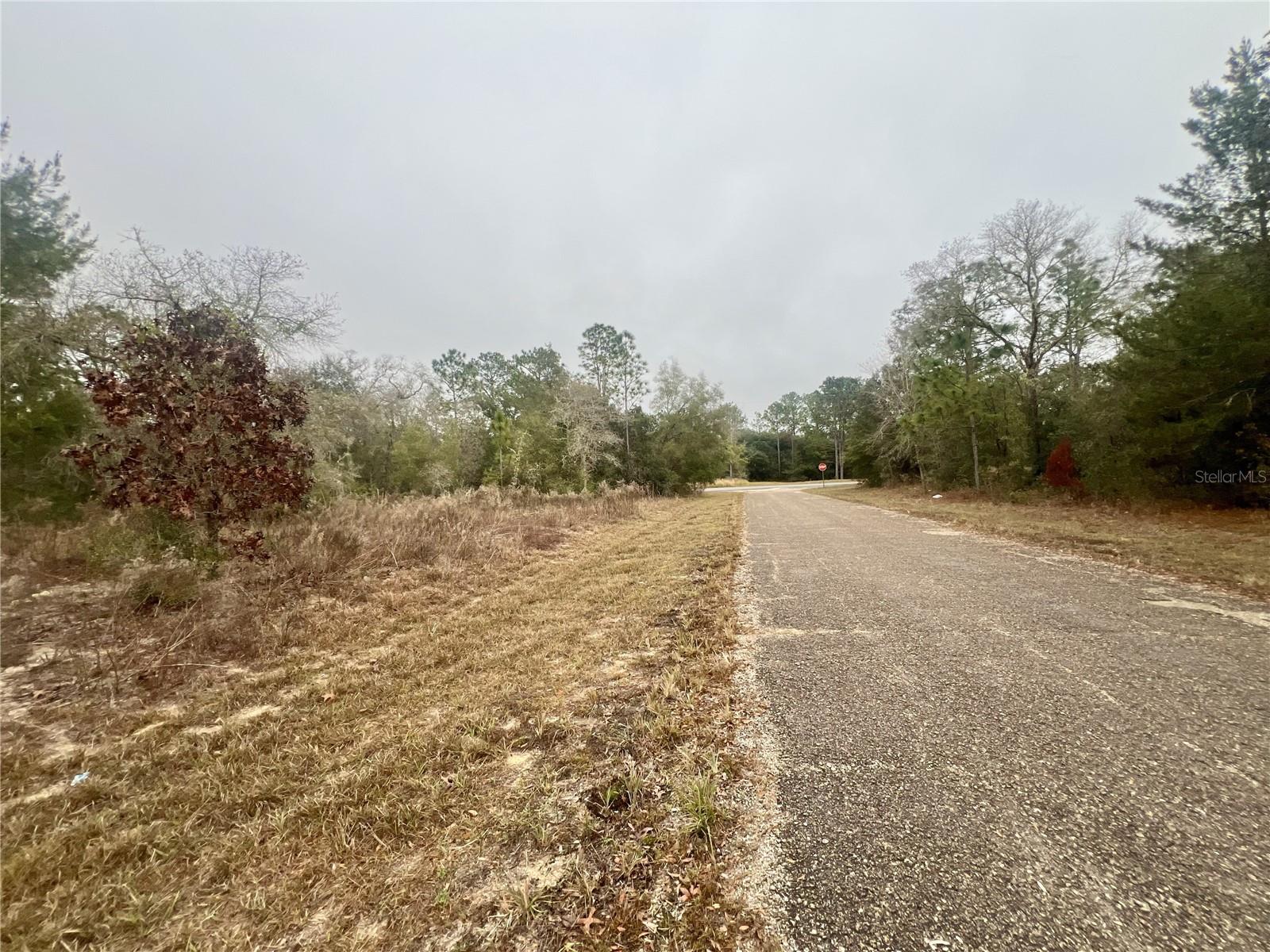 CITRUS SPGS UNIT 11 - Land