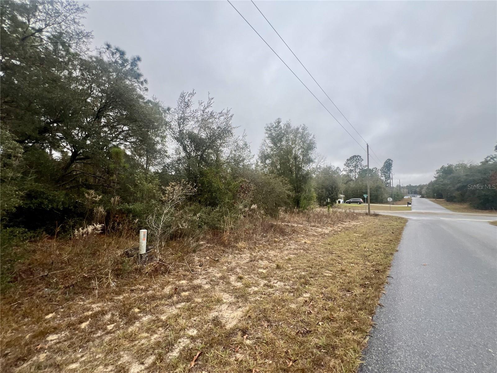 CITRUS SPGS UNIT 11 - Land