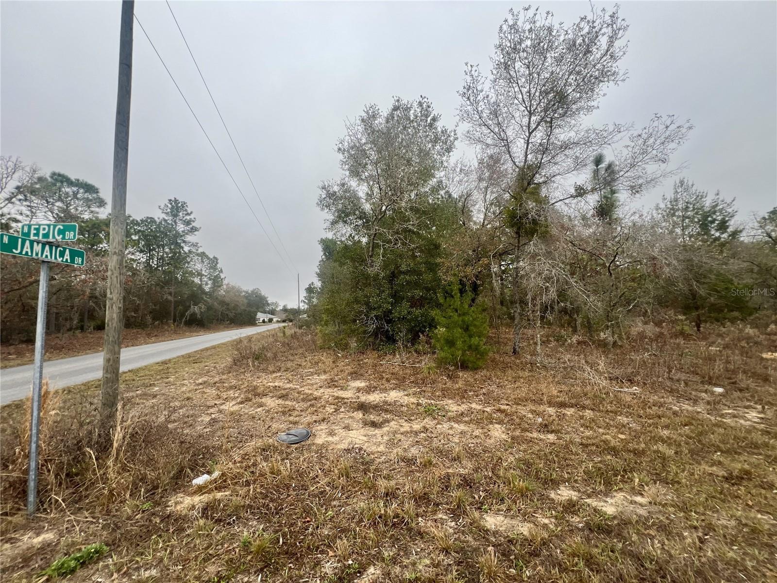 CITRUS SPGS UNIT 11 - Land