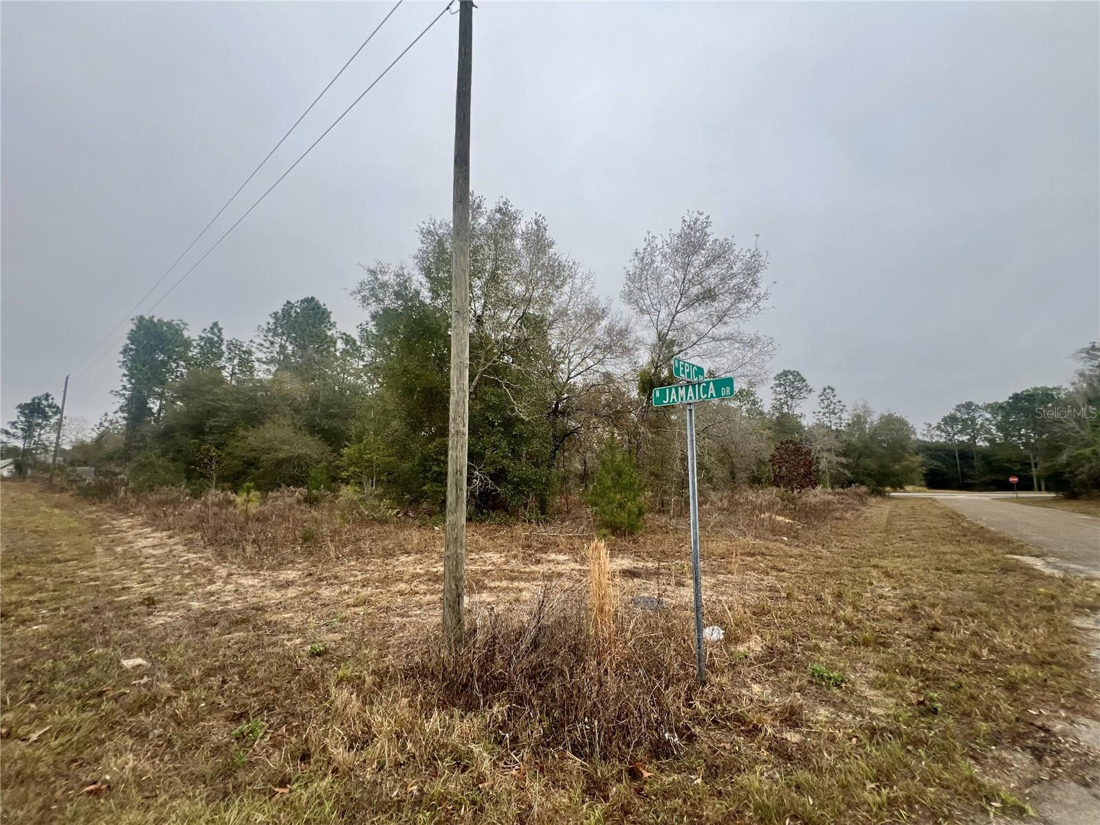 CITRUS SPGS UNIT 11 - Land