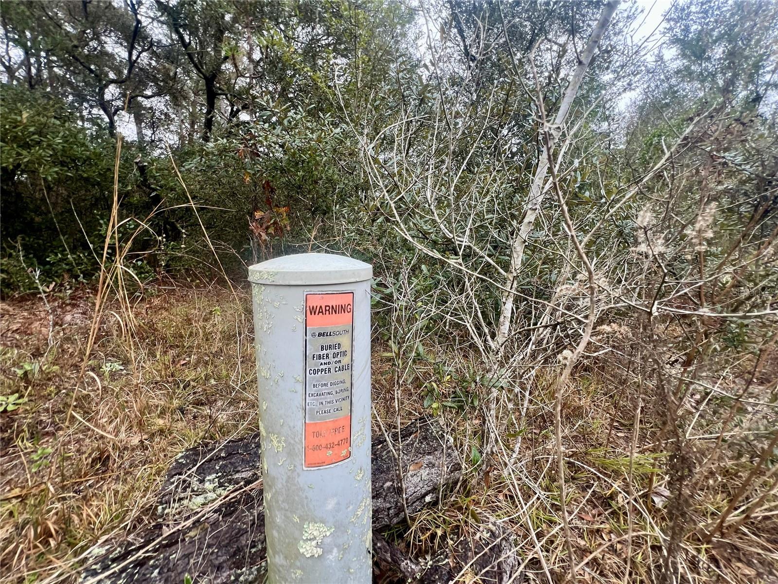 CITRUS SPGS UNIT 11 - Land