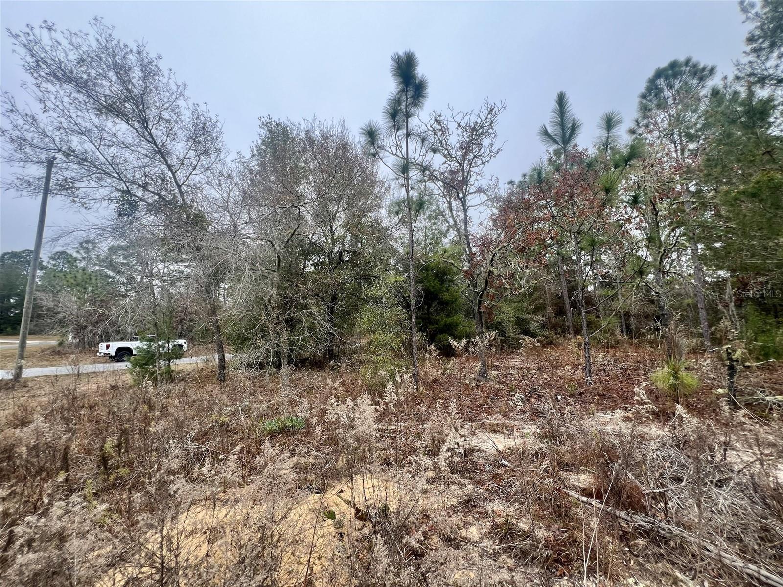 CITRUS SPGS UNIT 11 - Land