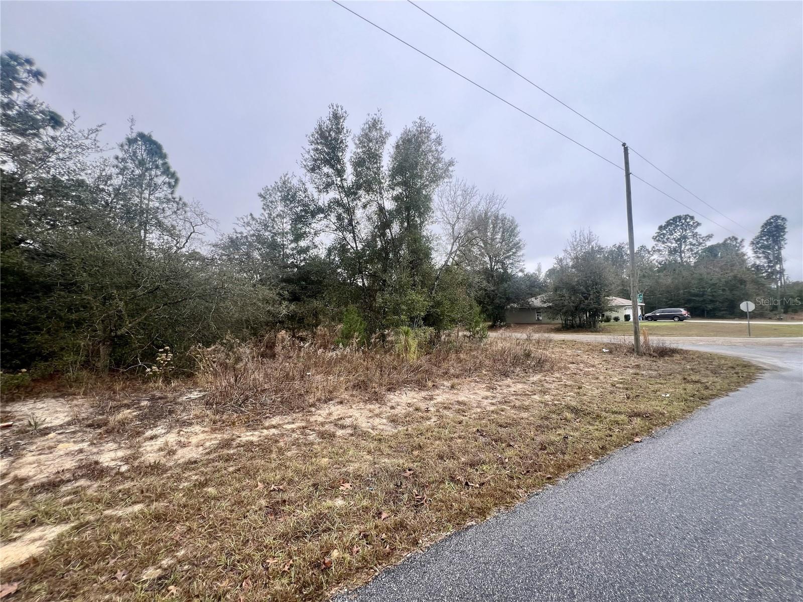 CITRUS SPGS UNIT 11 - Land