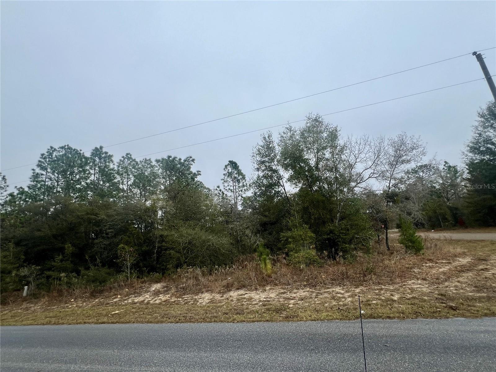 CITRUS SPGS UNIT 11 - Land