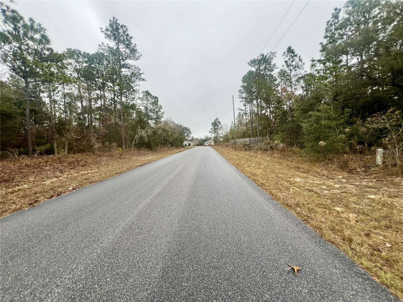 CITRUS SPGS UNIT 11 - Land