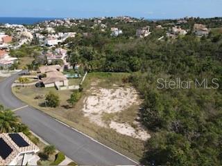 HARBOUR LIGHTS - Land