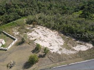 HARBOUR LIGHTS - Land