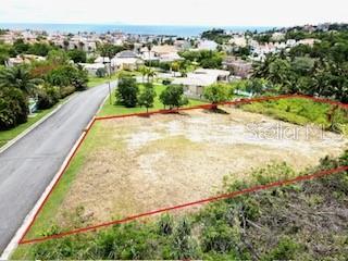 HARBOUR LIGHTS - Land