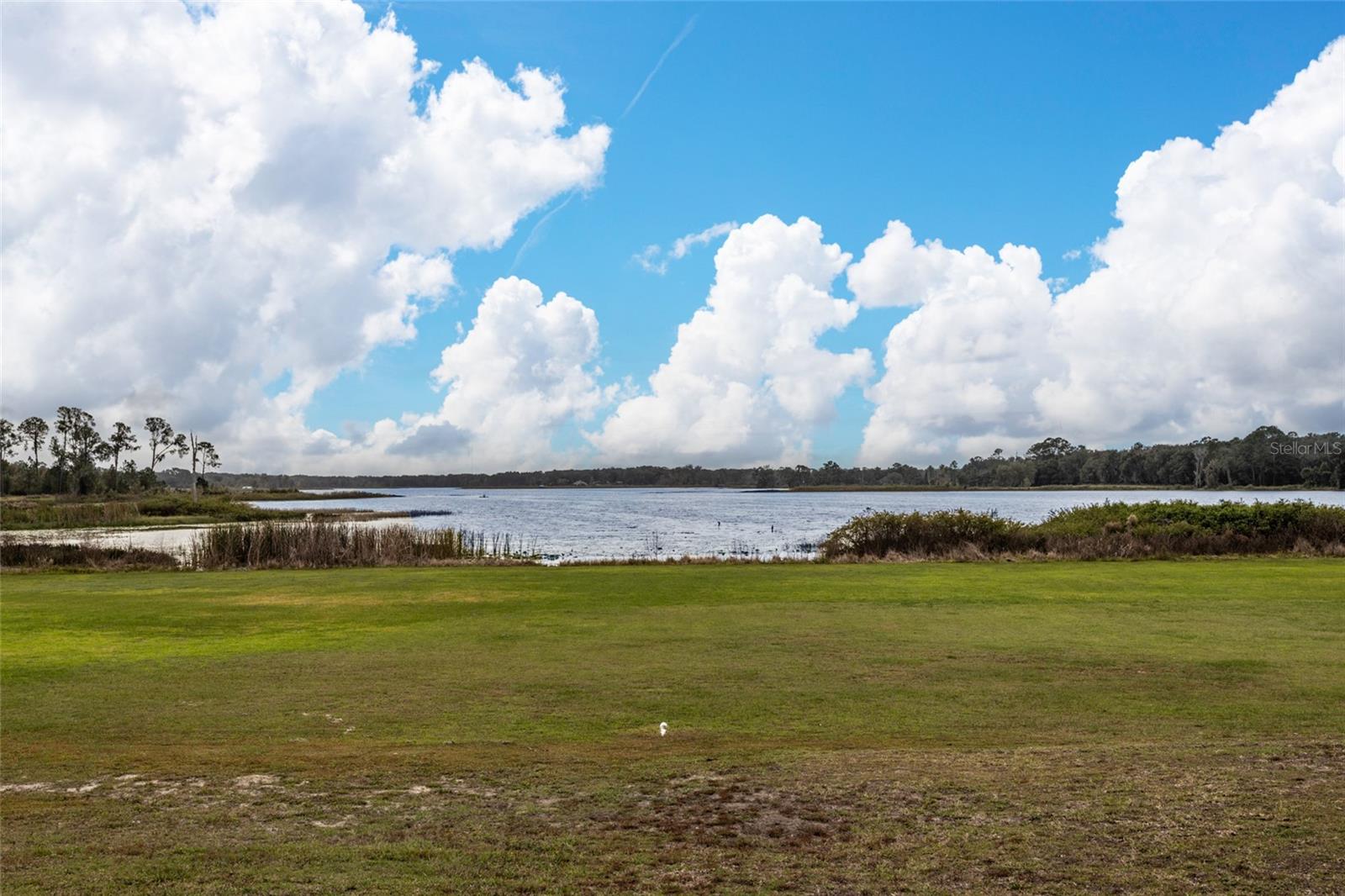 1170 - SEVILLE AREA W OF RAILROAD - Residential